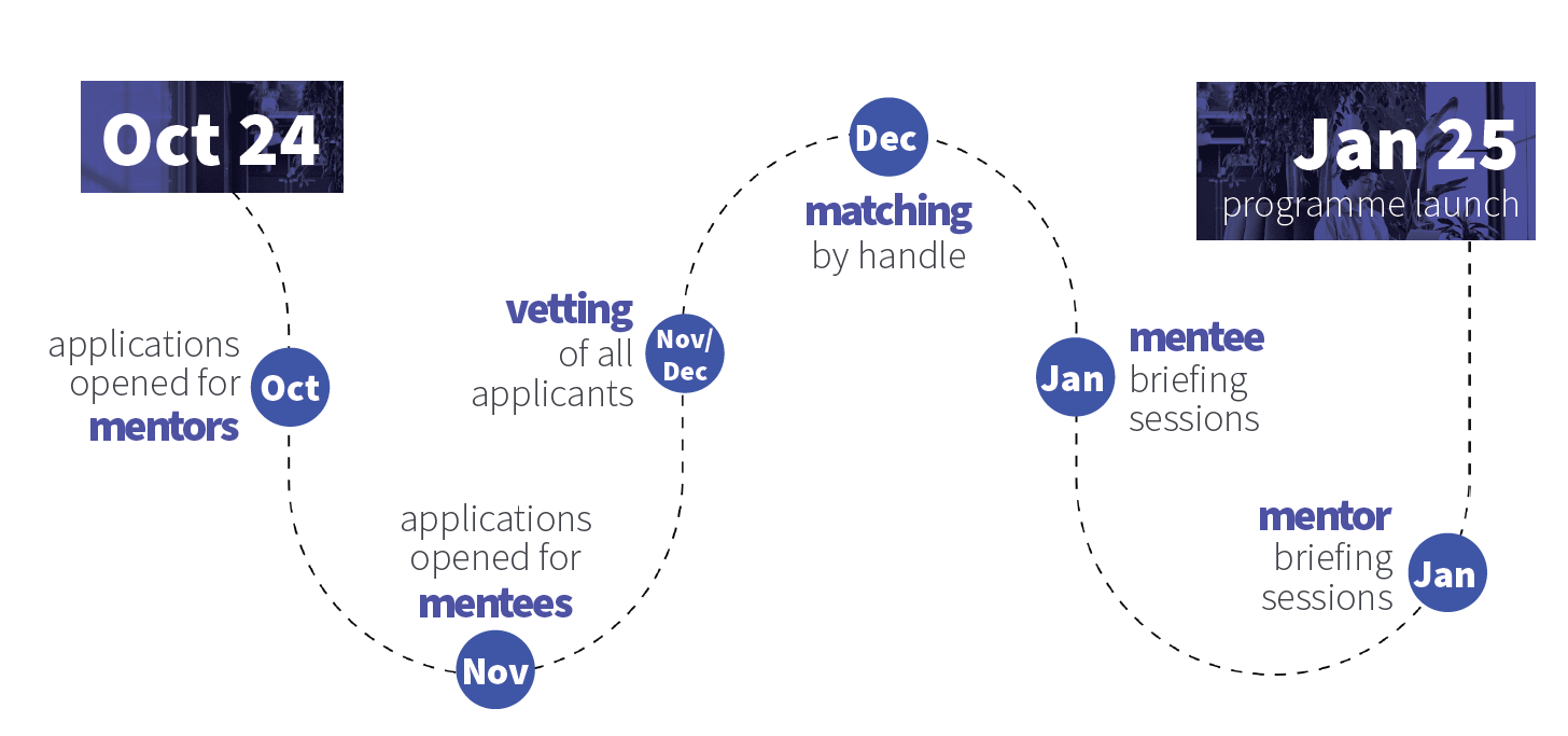 Finance Mentoring Programme 2025 Roadmap | Handle Recruitment